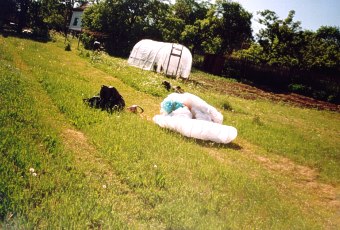  P�ist�vac� plant� 