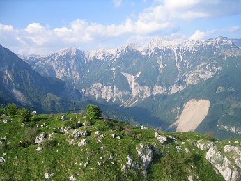 Mohavšek