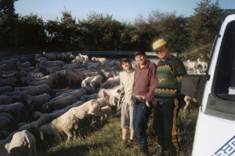  P�i cest� na start jsme potk�vali v�emo�n� st�da 