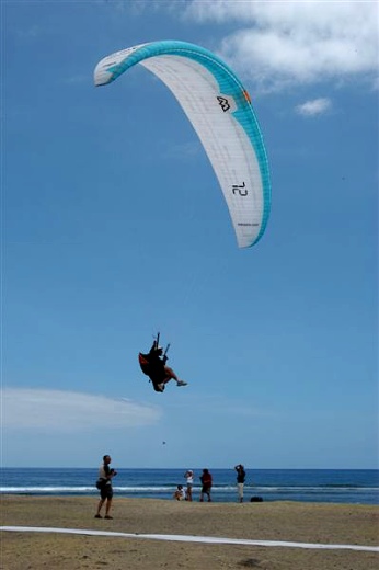  The winner is landing 