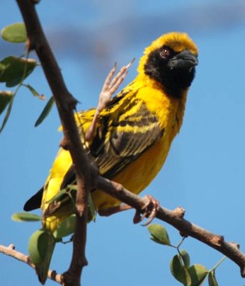  See you next time on Reunion Island! 