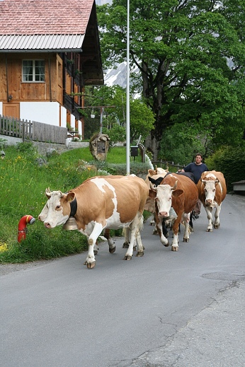  Na vych�zce 