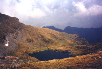  Poho�� Fagara� 