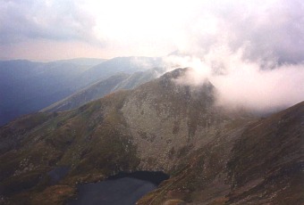  Poho�� Fagara� 