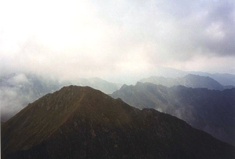  Poho�� Fagara� 