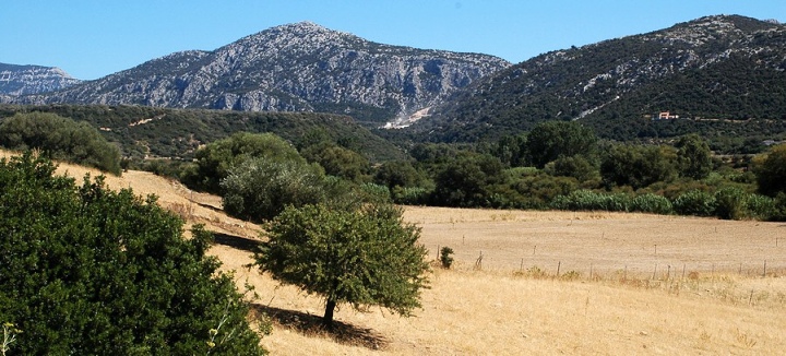  Poho�� Supramonte 