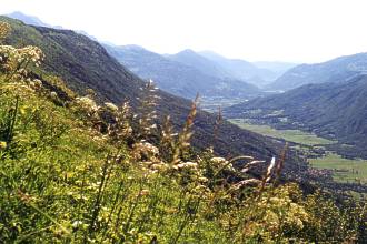  �dol� sm�rem ke Kobaridu 