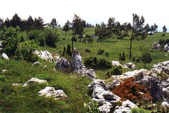  Krajina v okol� startovi�t� Kovk 