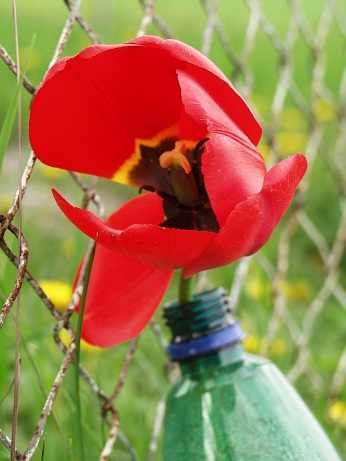  Stopy po lidech v sedle pod Stran�kem 