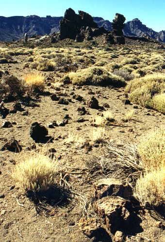  Na území Parque Nacional del Teide 