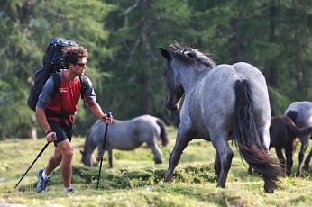  N�mec Michael Gebert 