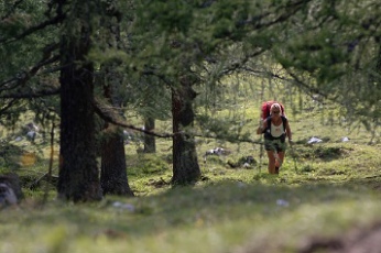  Ameri�anka Cari Castle 