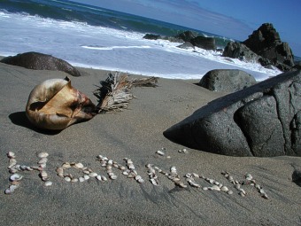  Na jihoz�padn�m pob�e�� 